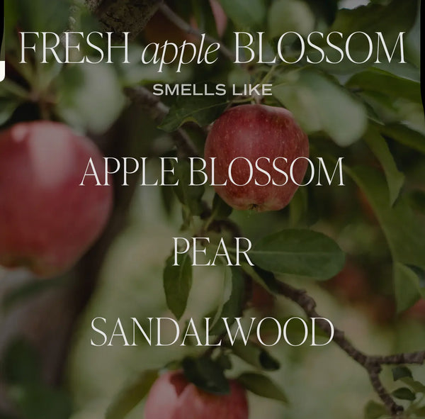Apple Fresh Blossom