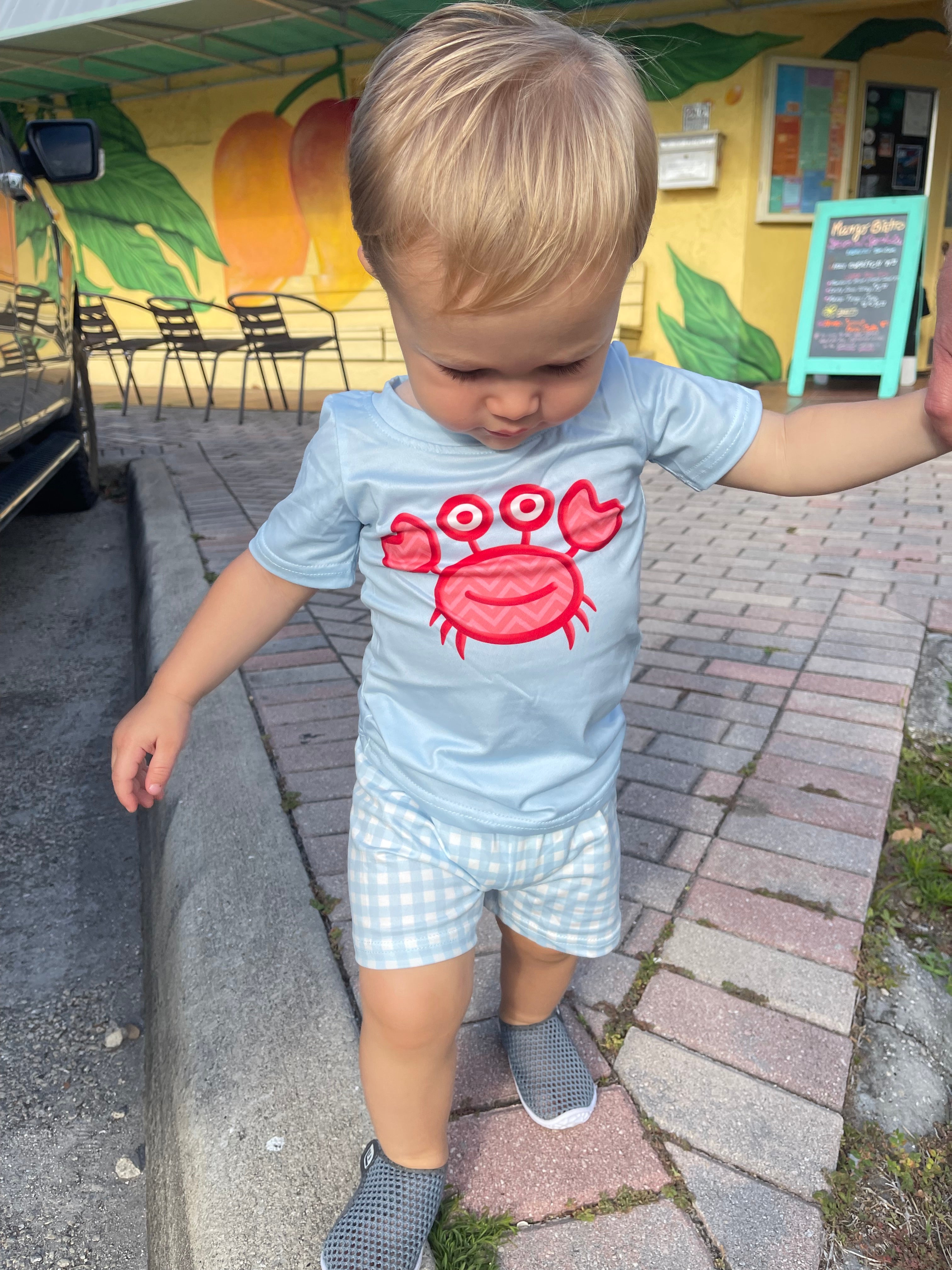 Blue Crab Set