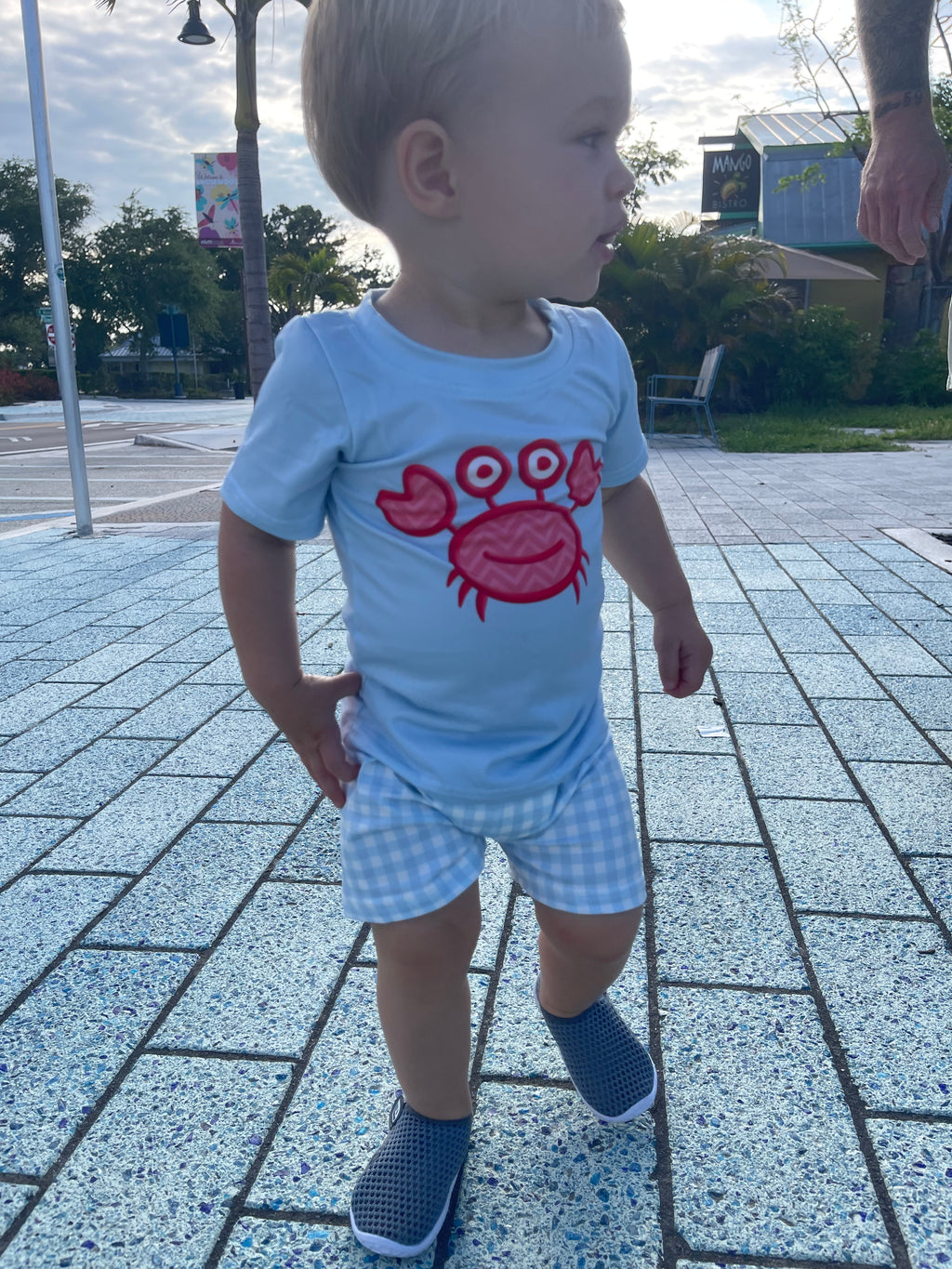 Blue Crab Set