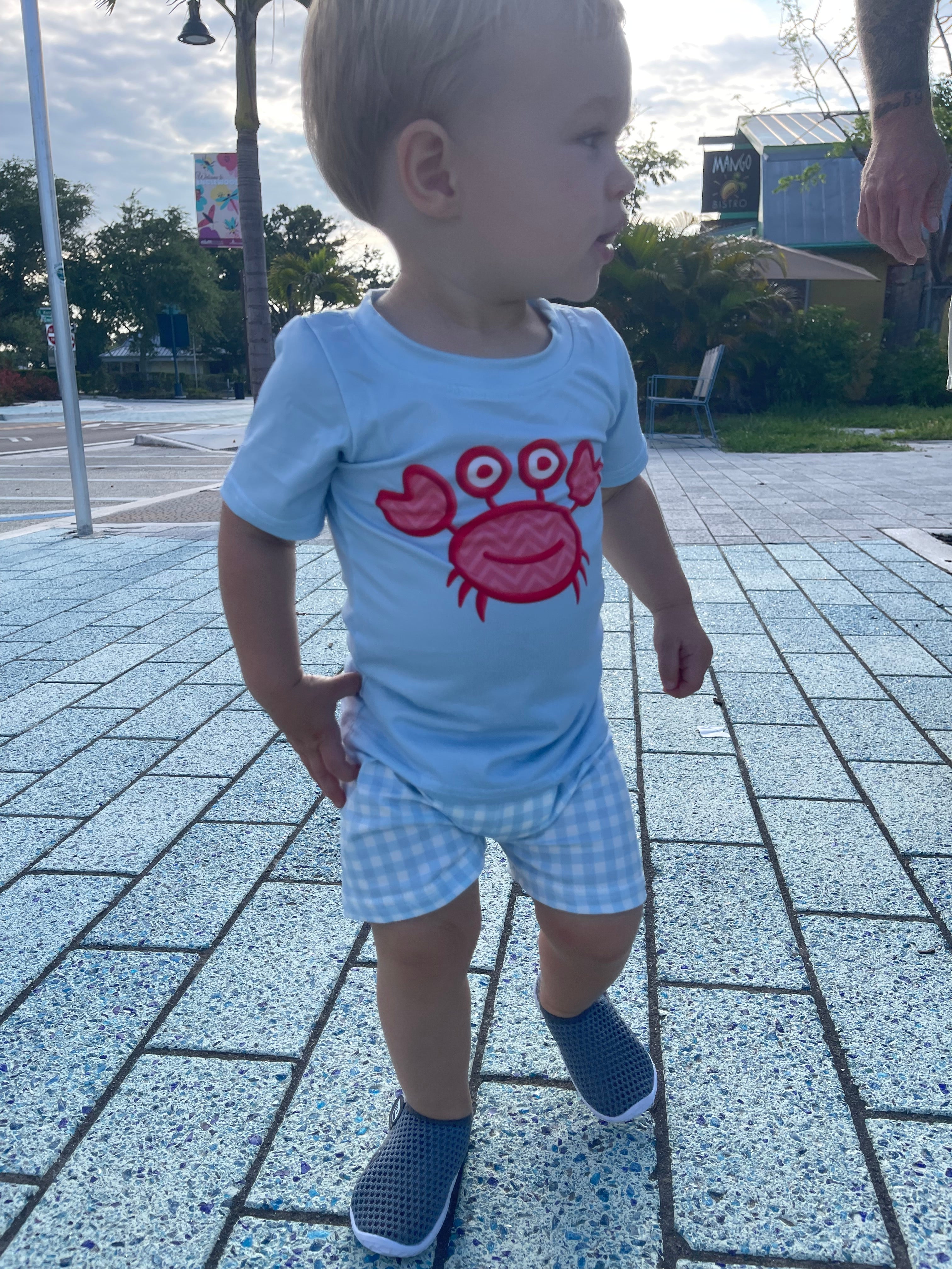 Blue Crab Set