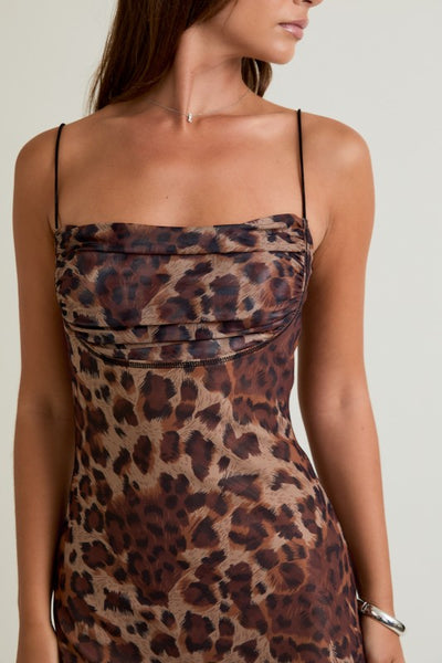 Savage Spice Mini Dress