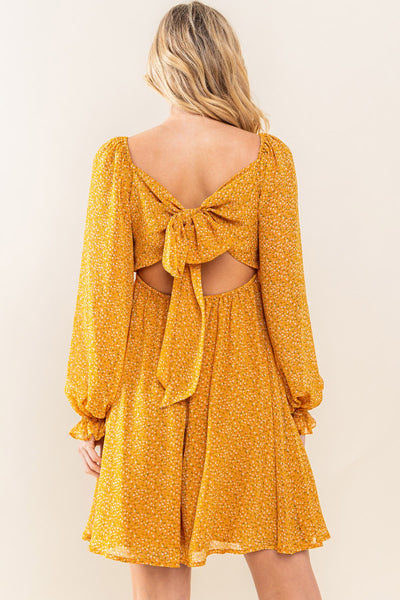 Sweet Pumpkin Pie Dress