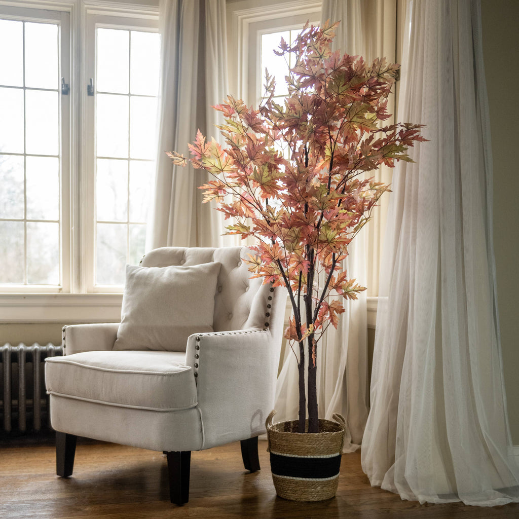 5' FALL MAPLE LEAF TREE