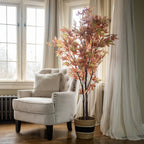 5' FALL MAPLE LEAF TREE
