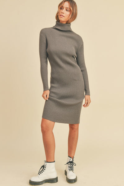 Can't Say Goodnight Sweater Dress